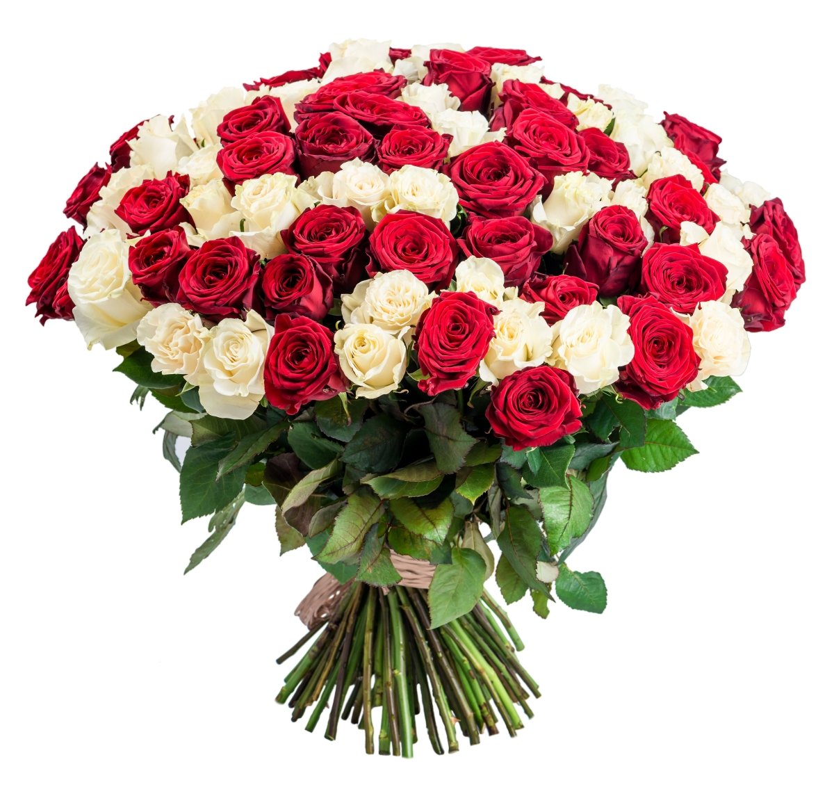 100 Premium Long Stem Red&White Roses Flower Bouquet - My Queen