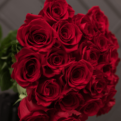 Premium Extra Long Stem Roses Bouquet "Luxuriance" from 24 - 100 roses - My Queen